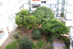 Piso Cardonal