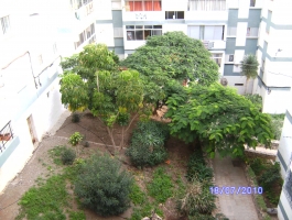 Piso Cardonal